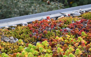 the cost of Rease Heath green roof installation