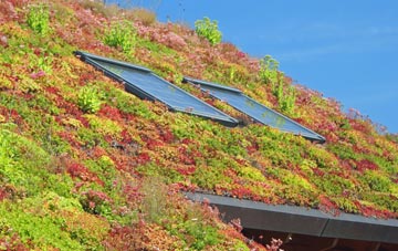 Rease Heath living roof systems
