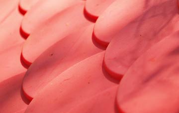 Rease Heath plastic roof costs