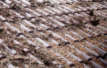 Rease Heath roof cleaning companies