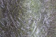 Rease Heath fibreglass roof work